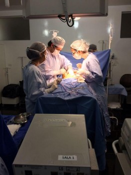 SETEMBRO VERDE: HONPAR CENTRO DE CAPTA&Ccedil;&Atilde;O DE &Oacute;RG&Atilde;OS E TECIDOS PARA TRANSPLANTES 